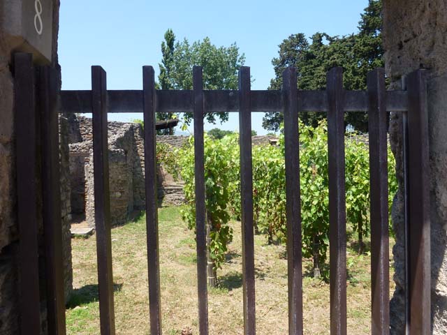 II.1.8 Pompeii. May 2005. Looking north across garden from doorway.