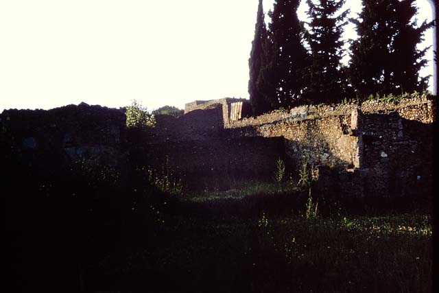 II.1.8 Pompeii. December 2005. Looking north across garden from doorway.