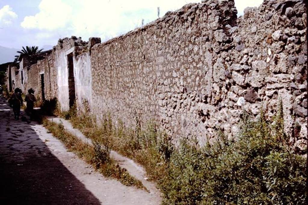 II.1.10 Pompeii. 1964. Looking north along the exterior wall towards the entrance doorway.
Photo by Stanley A. Jashemski.
Source: The Wilhelmina and Stanley A. Jashemski archive in the University of Maryland Library, Special Collections (See collection page) and made available under the Creative Commons Attribution-Non Commercial License v.4. See Licence and use details.
J64f1367
On the south side of doorway, according to Varone and Stefani, an inscription was seen, but no longer preserved. It read 
C . GAVIVM . RVFVM AED OVF GRANIVS ROG.   (CIL IV 9883)
See Varone, A. and Stefani, G., 2009. Titulorum Pictorum Pompeianorum, Rome: Lerma di Bretschneider. (p.184)

According to Epigraphik-Datenbank Clauss/Slaby (See www.manfredclauss.de), it read

C(aium) Gavium Rufum Aed(ilem) O(ro) V(os) F(acciatis) Ganius Rog(at)    (CIL IV 9883)
