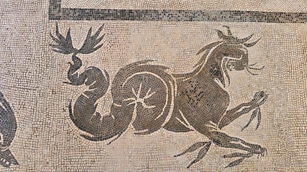 II.4.6 Pompeii. July 2019. Detail from mosaic floor in atrium. Photo courtesy of Giuseppe Ciaramella.