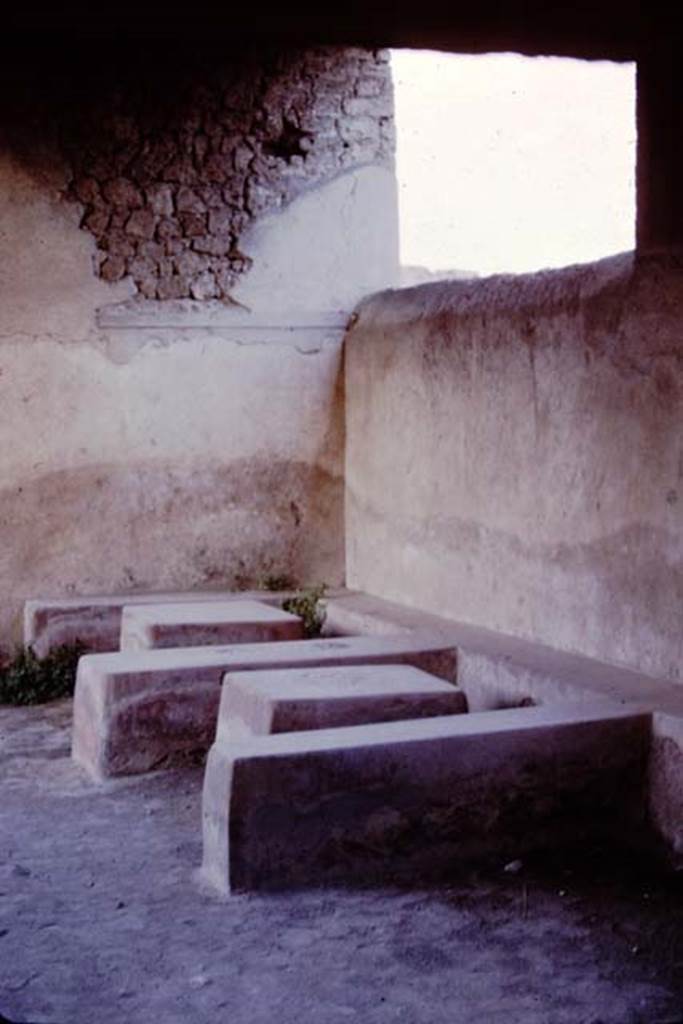 II.4.7 Pompeii. 1964. Stone seats and tables in compartments. Photo by Stanley A. Jashemski.
Source: The Wilhelmina and Stanley A. Jashemski archive in the University of Maryland Library, Special Collections (See collection page) and made available under the Creative Commons Attribution-Non Commercial License v.4. See Licence and use details.
J64f1947
