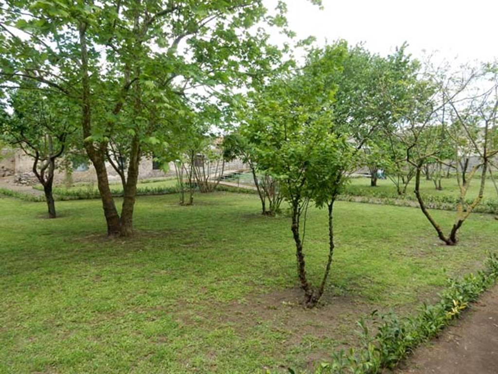 II.4.9 Pompeii. May 2016. Looking towards north-west of garden, and area of rooms in either II.4.6 or II.4.10.  Photo courtesy of Buzz Ferebee.
