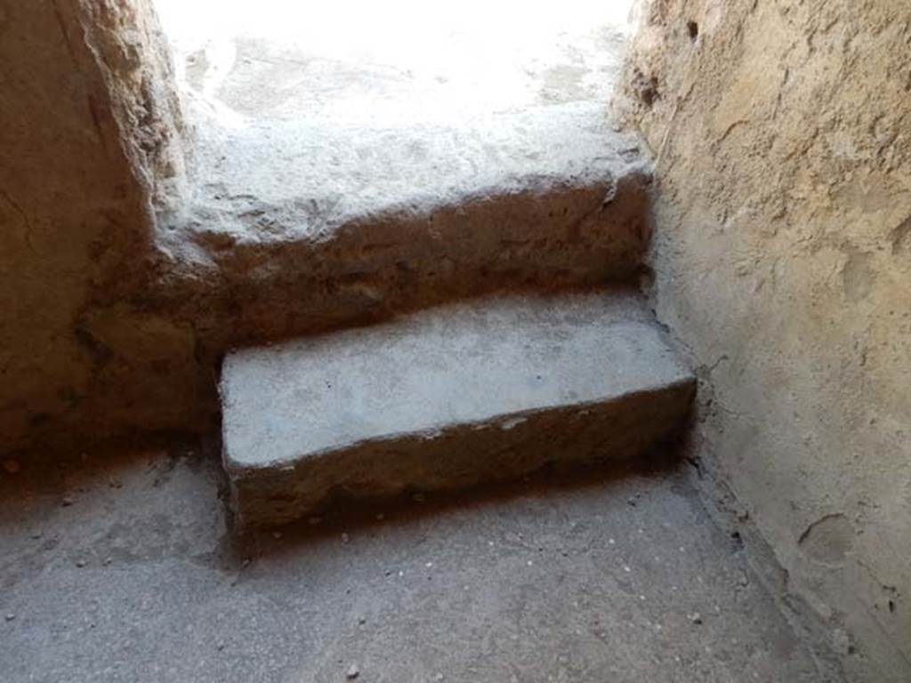 II.9.4, Pompeii. May 2018. Room 5, steps to garden area at rear of house. Photo courtesy of Buzz Ferebee