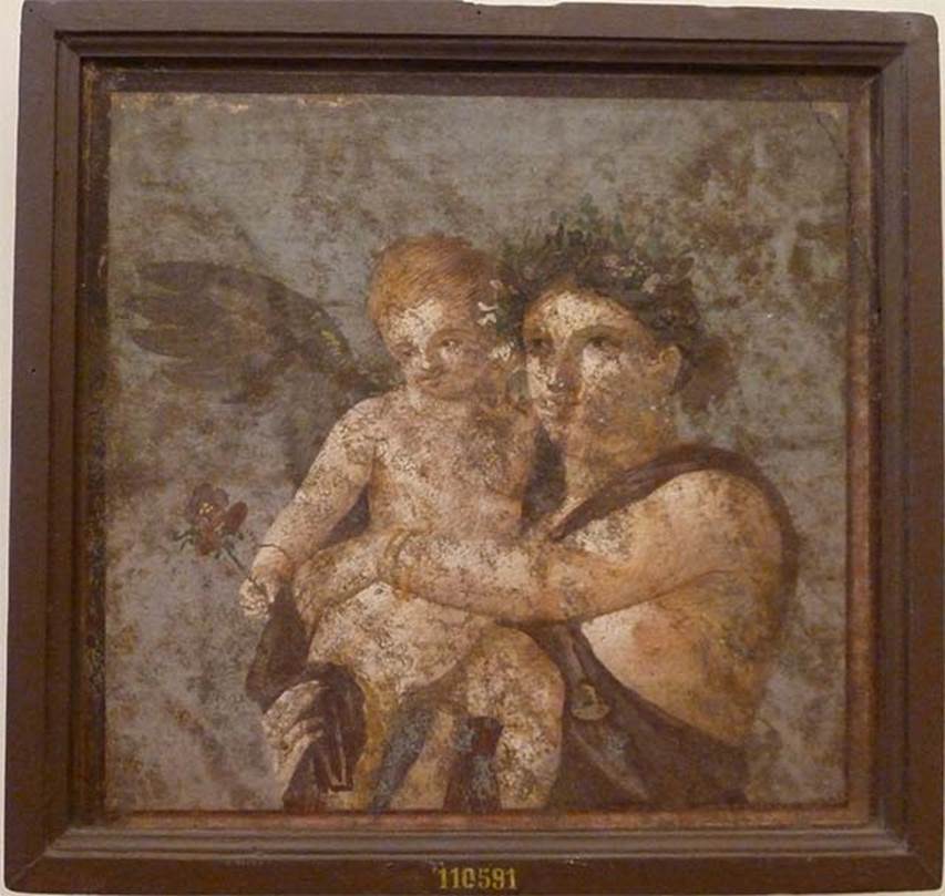 V.1.26 Pompeii. May 2010. Painting of a Maenad carrying a cupid.
Found in the tablinum “i”, on the right of the Iphigenia painting, that is the east end of north wall.
Now in Naples Archaeological Museum. Inventory number 110591.

