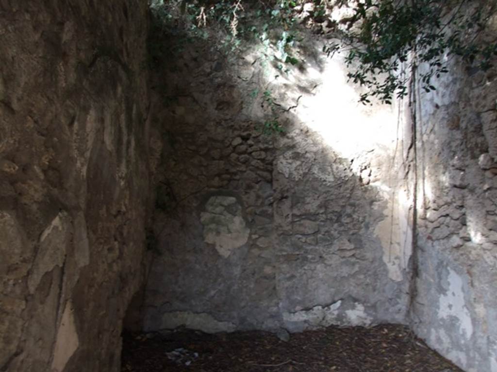 V.2.15 Pompeii. December 2007. Room 7a, looking north into the spacious cubiculum.
According to NdS, found on the west wall above the coarse plaster was the graffito, written in large letters:
NON PO
See Notizie degli Scavi, 1896, (p.439)
