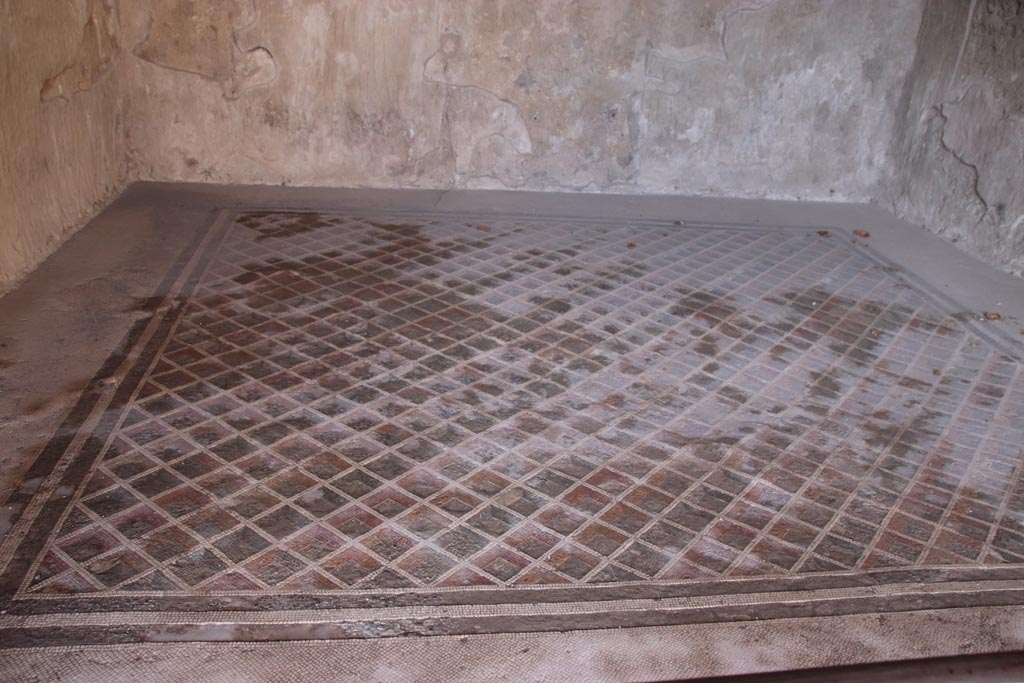 V.2.i Pompeii. October 2023. Room 24, looking north across mosaic flooring. Photo courtesy of Klaus Heese.