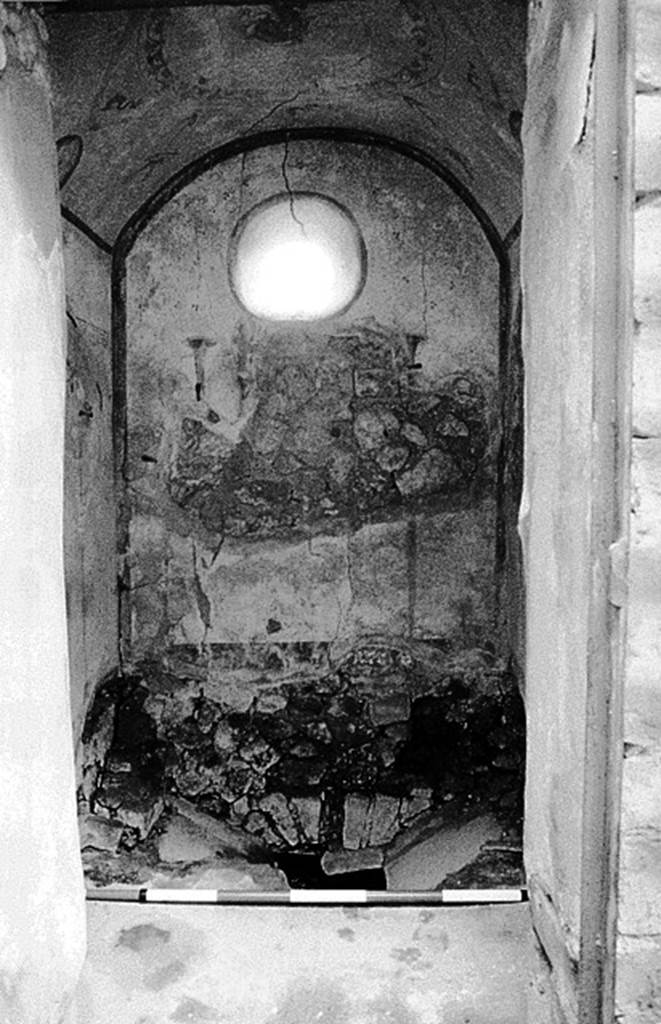 V.2.i Pompeii. Room 13, latrine showing painted walls and ceiling.  
Joyce Agee, photographer, 1995. Courtesy of Dr Penelope M Allison from her web site Pompeian Households: An On-line Companion:
See http://www.stoa.org/projects/ph/home. 
According to Hobson, pipe water was supplied to a small number of toilets. In this toilet a tap was attached in the wall (but no longer visible as the whole latrine room has collapsed).
See Hobson, B., 2009. Latrinae et foricae: Toilets in the Roman World. London; Duckworth. (p.123)
