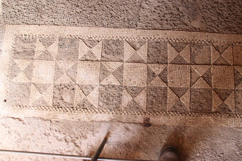 V.2.i Pompeii. October 2023. Oecus 21, mosaic doorway threshold at north end. Photo courtesy of Klaus Heese.