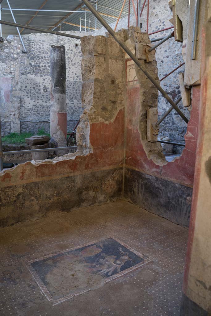 V.2.15 Pompeii. June 2018. Room A6 during 2018 excavations. Upper east wall.
Photograph © Parco Archeologico di Pompei.
