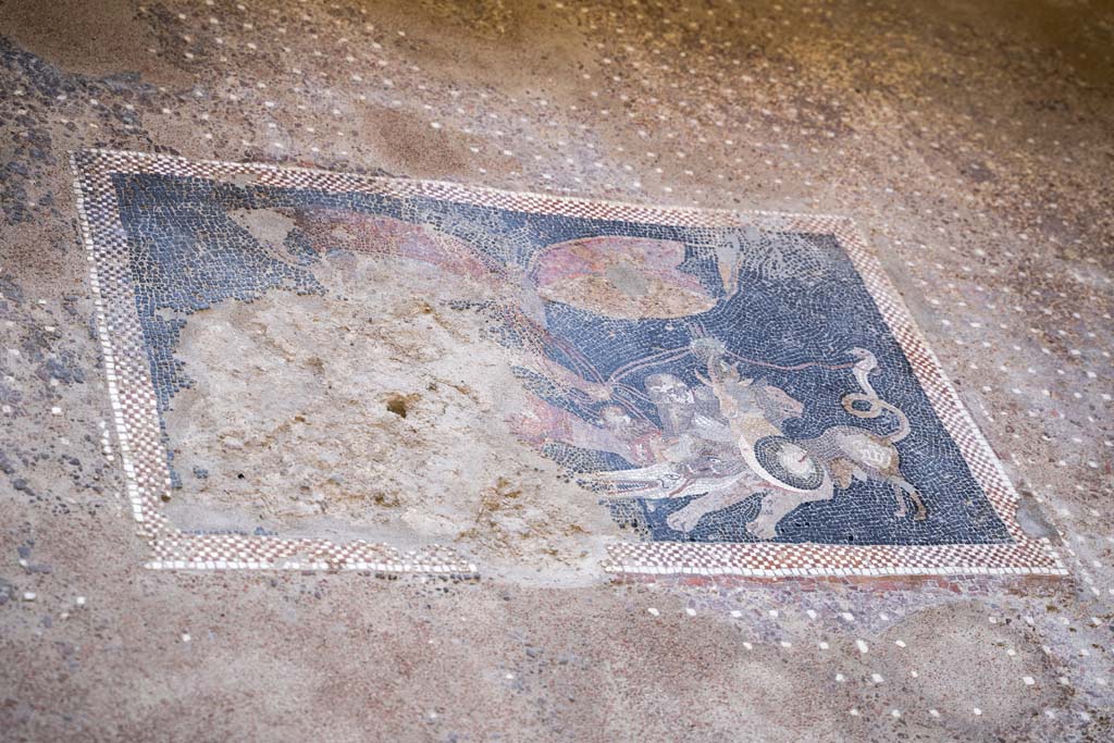 V.2.15 Pompeii. Room A6 during 2018 excavations. Part of mosaic floor with panther, eagle and goat and other animals.
Photograph © Parco Archeologico di Pompei.

