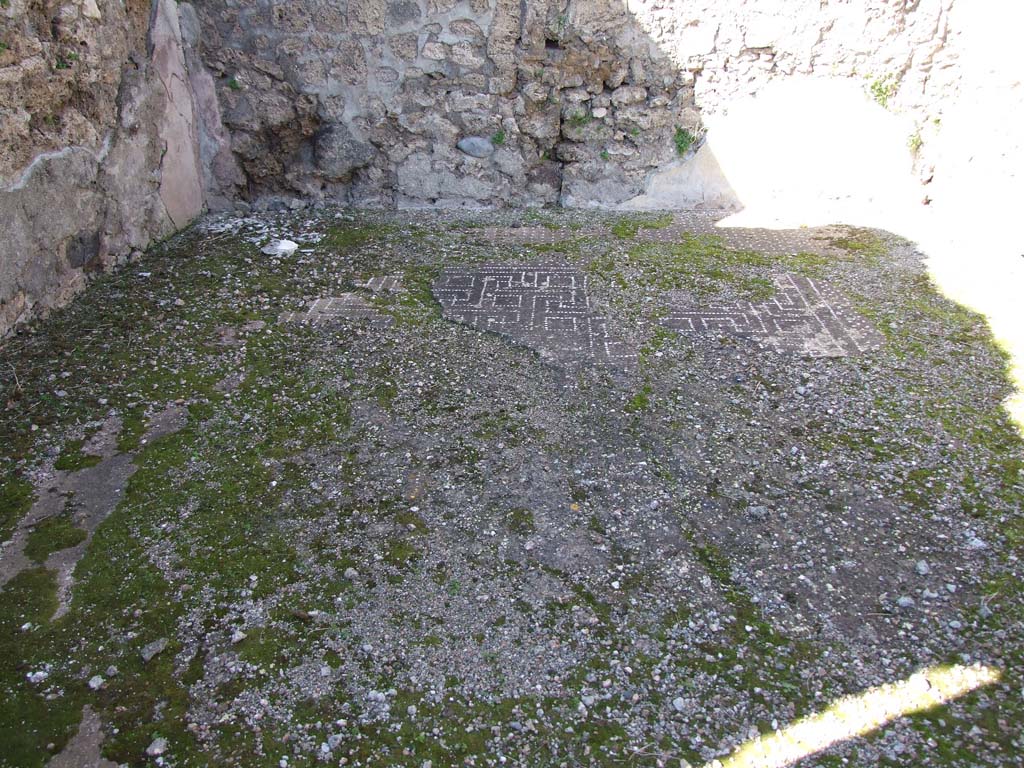 V.3.8 Pompeii. March 2009. Looking north across decorated floor in tablinum. 