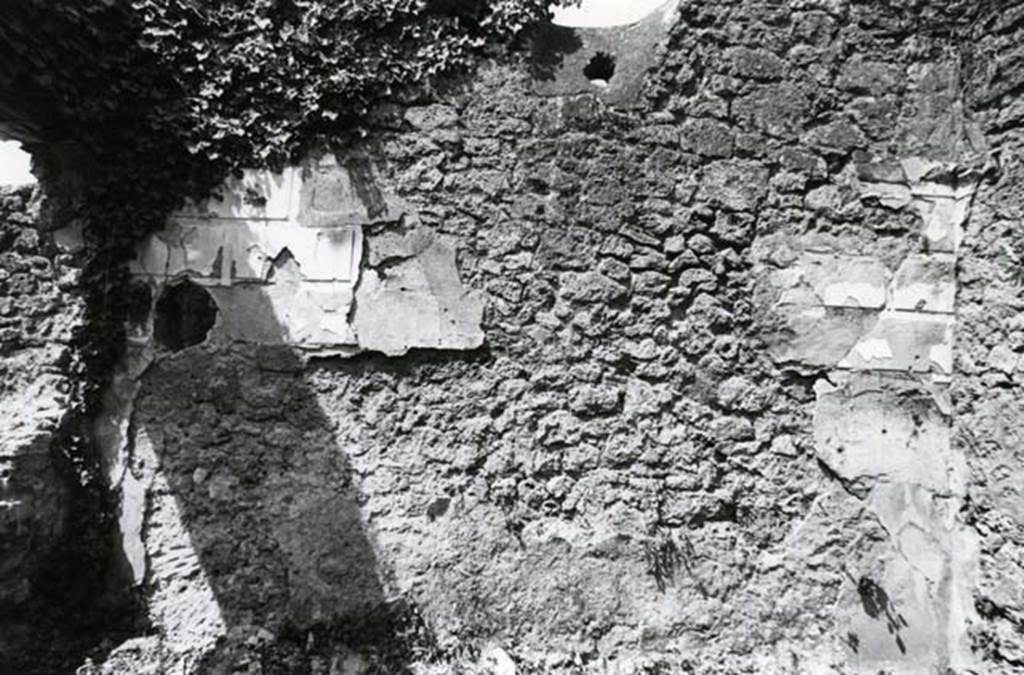 V.3.8 Pompeii. 1972. Tablinum, W wall, overall. Photo courtesy of Anne Laidlaw.
American Academy in Rome, Photographic Archive. Laidlaw collection _P_72_24_28.
