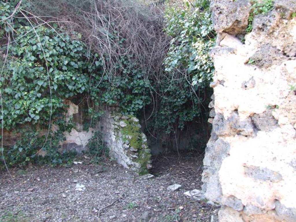V.3.11 Pompeii. March 2009.  North west corner of Garden with remains of painted plaster, and Doorway to Garden Room.