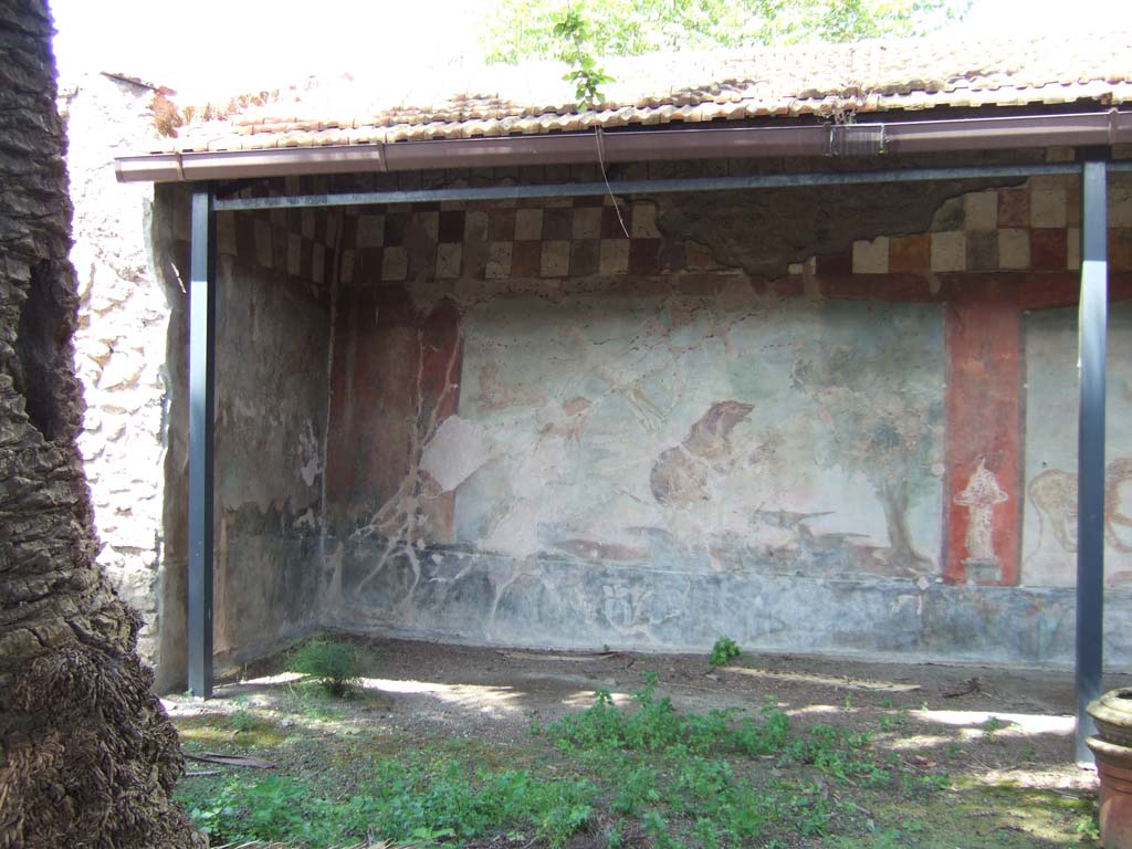 V.4.a Pompeii. May 2006. Hunting fresco with life-size animals on west and north wall of garden area.