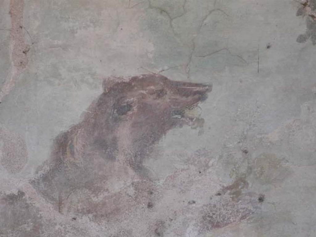 V.4.a Pompeii. May 2012. Close-up of bear on north wall of garden area. Photo courtesy of Buzz Ferebee.