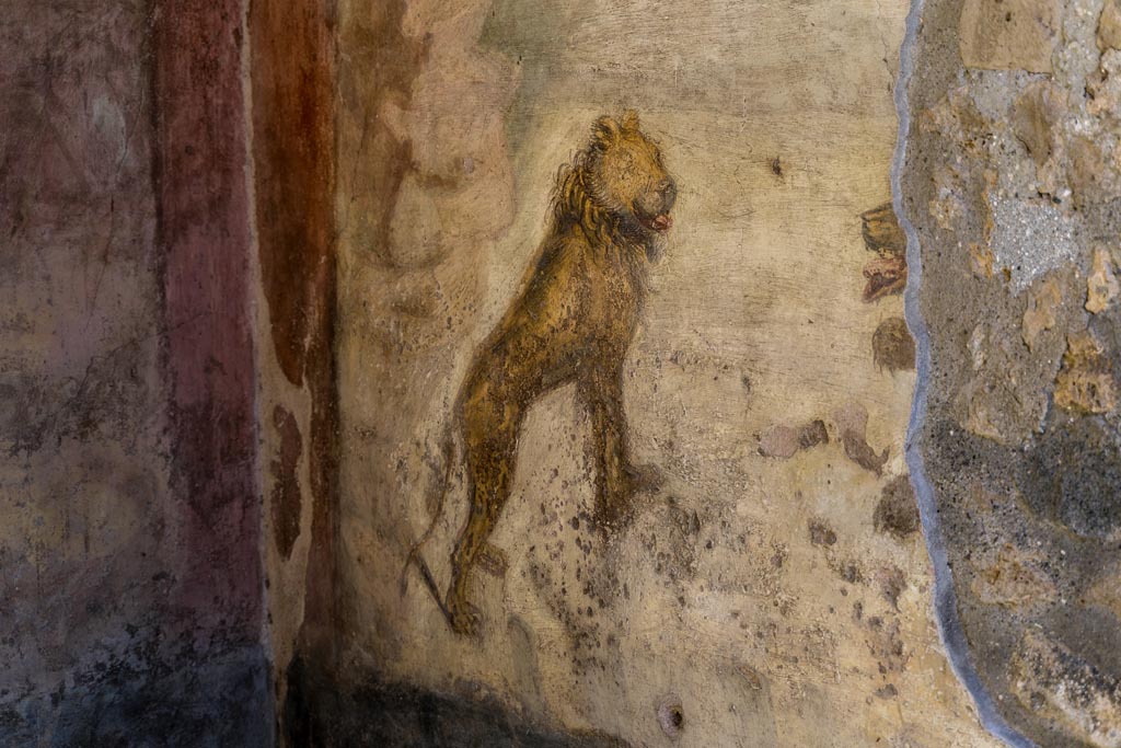 V.4.a Pompeii. January 2023. Room ‘l’ (L), detail of lion on south wall of garden area. Photo courtesy of Johannes Eber