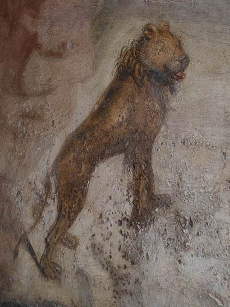 V.4.a Pompeii. May 2014.  Hunting fresco of lion, from south wall of garden area. Photo courtesy of Paula Lock.
