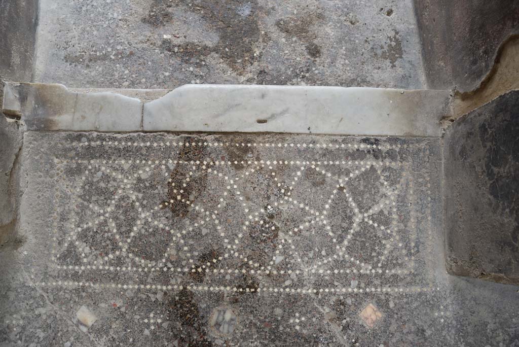 V.4.a Pompeii. March 2018. 
Looking west to detail of patterned doorway threshold with marble step down to entrance corridor. 
Foto Annette Haug, ERC Grant 681269 DÉCOR 
