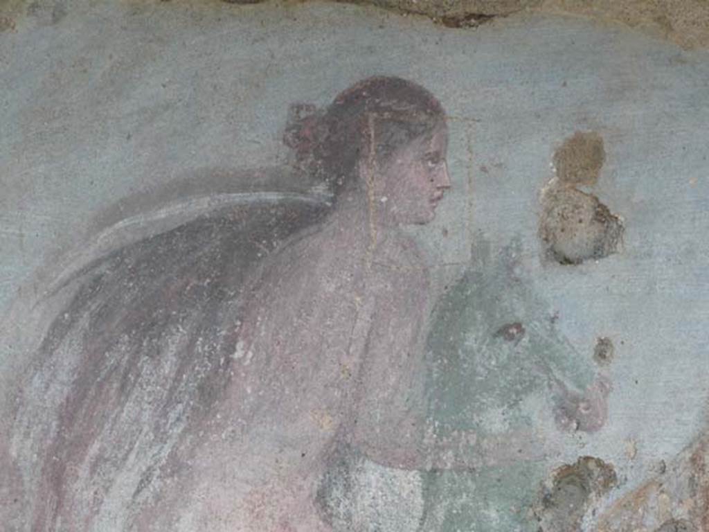 V.5.3 Pompeii.  March 2009.  Room 7.  Peristyle.  North east corner – Painting 2.  Remains of Mythological Painting of Europa on the Bull.