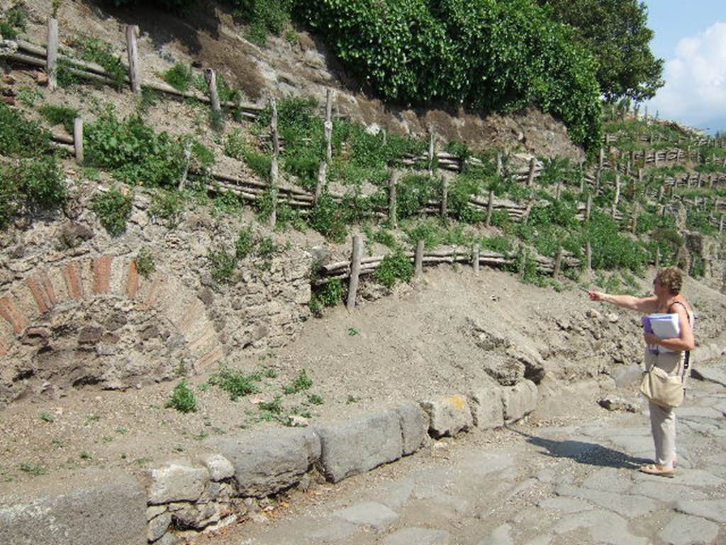 V.6.7 (south end on left) and V.6.6 Pompeii (on right). May 2006. Unexcavated entrances, on east side of Via del Vesuvio.