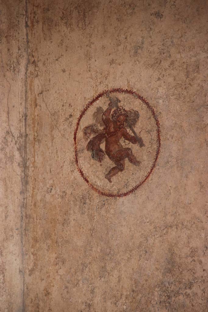 V.6.12 Pompeii. October 2020. Medallion with Cupid, from east end of south wall of cubiculum. 
Photo courtesy of Klaus Heese 
