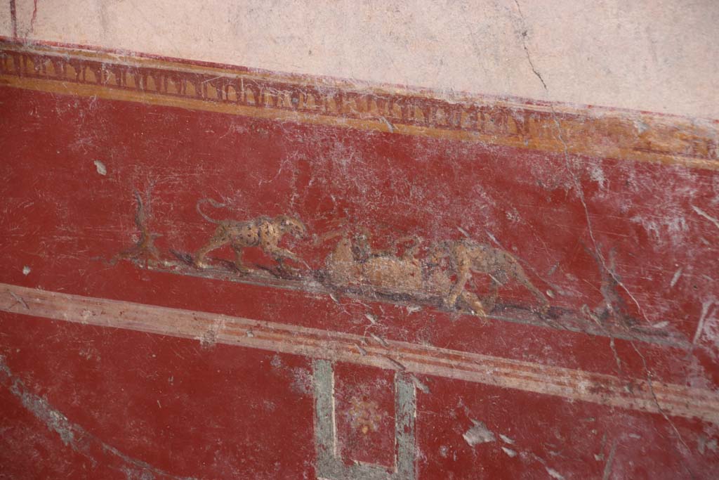 V.6.12 Pompeii. October 2020. Painting of animal fight from predella in centre of red zoccolo/dado on south wall of cubiculum. 
Photo courtesy of Klaus Heese.

