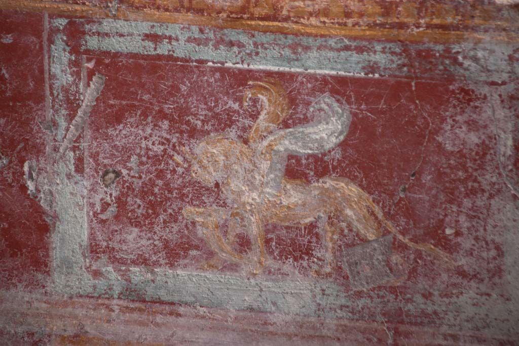 V.6.12 Pompeii. October 2020. Detail of painted griffin with cornucopia in zoccolo/dado at west end of south wall. Photo courtesy of Klaus Heese.