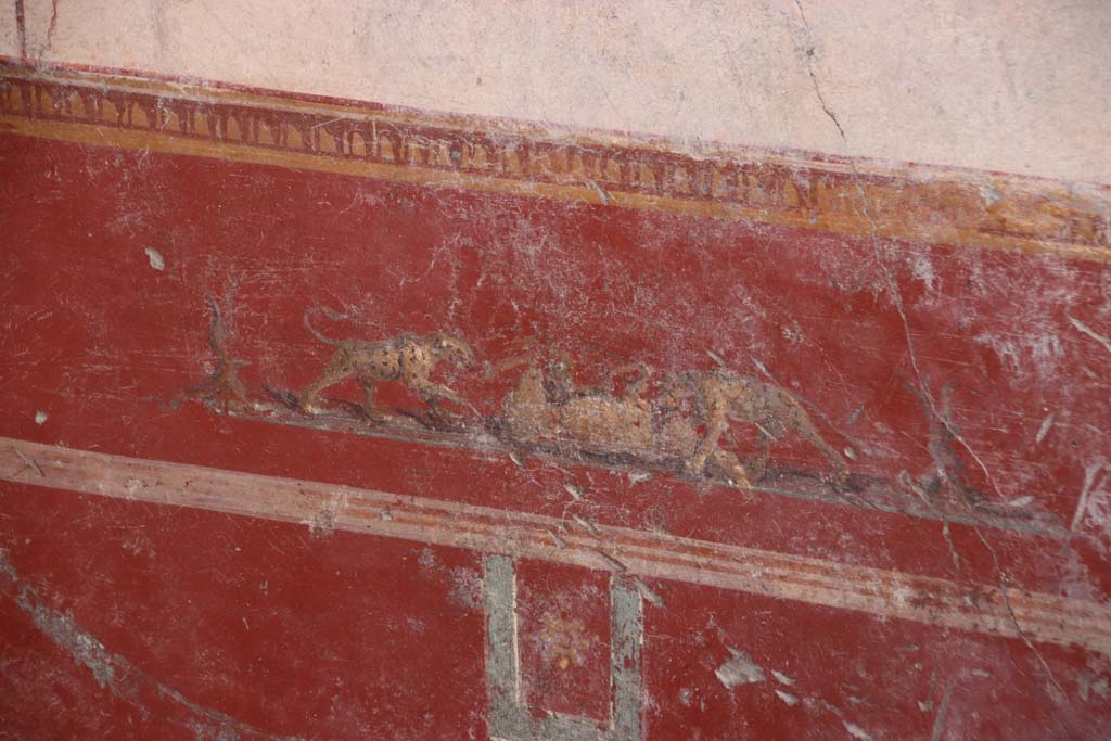 V.6.12 Pompeii. October 2020. Amb. 9. Painting of animal fight from predella in centre of red zoccolo/dado on south wall of cubiculum. 
Photo courtesy of Klaus Heese.
