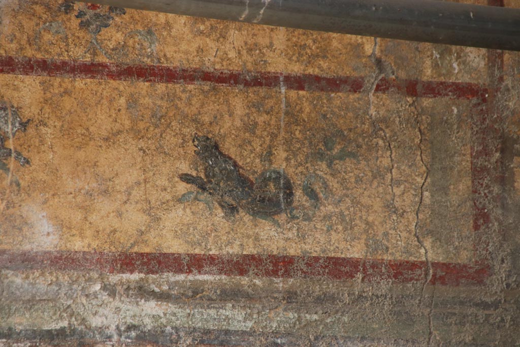 V.6.12 Pompeii, October 2022. North wall, detail of marine creature at east end of panel. Photo courtesy of Klaus Heese. 