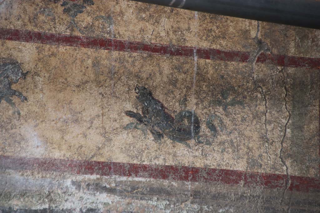 V.6.13 Pompeii, October 2020. North wall, detail of marine creature at east end of panel. Photo courtesy of Klaus Heese. 