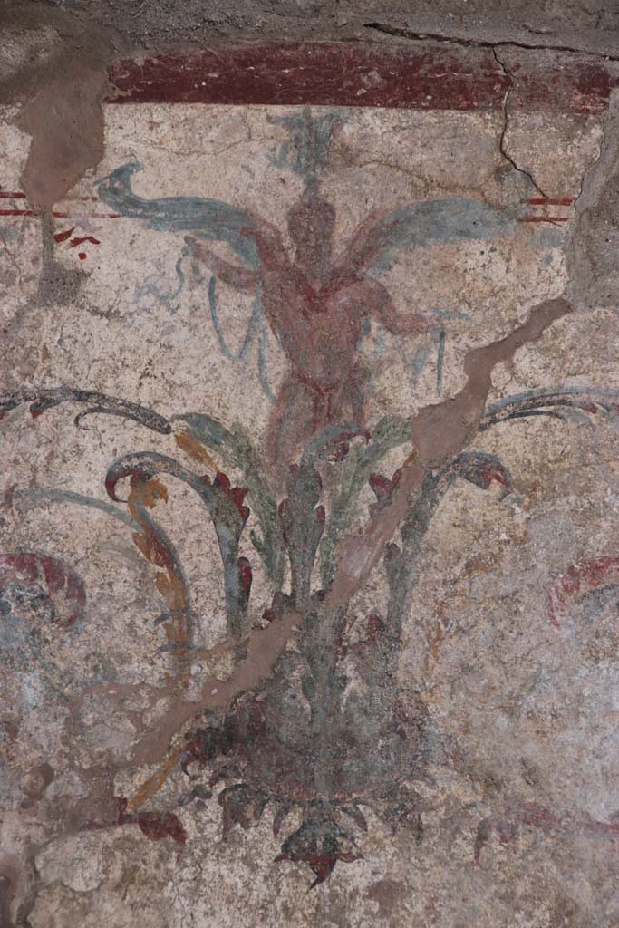 V.7.1 Pompeii. April 2018. Painted plaster on west wall of room with cupids.
Looking west to another room decorated with spiral designs and with a window onto the newly excavated north part of the Vicolo di Cecilio Giocondo.
Photograph © Parco Archeologico di Pompei.

