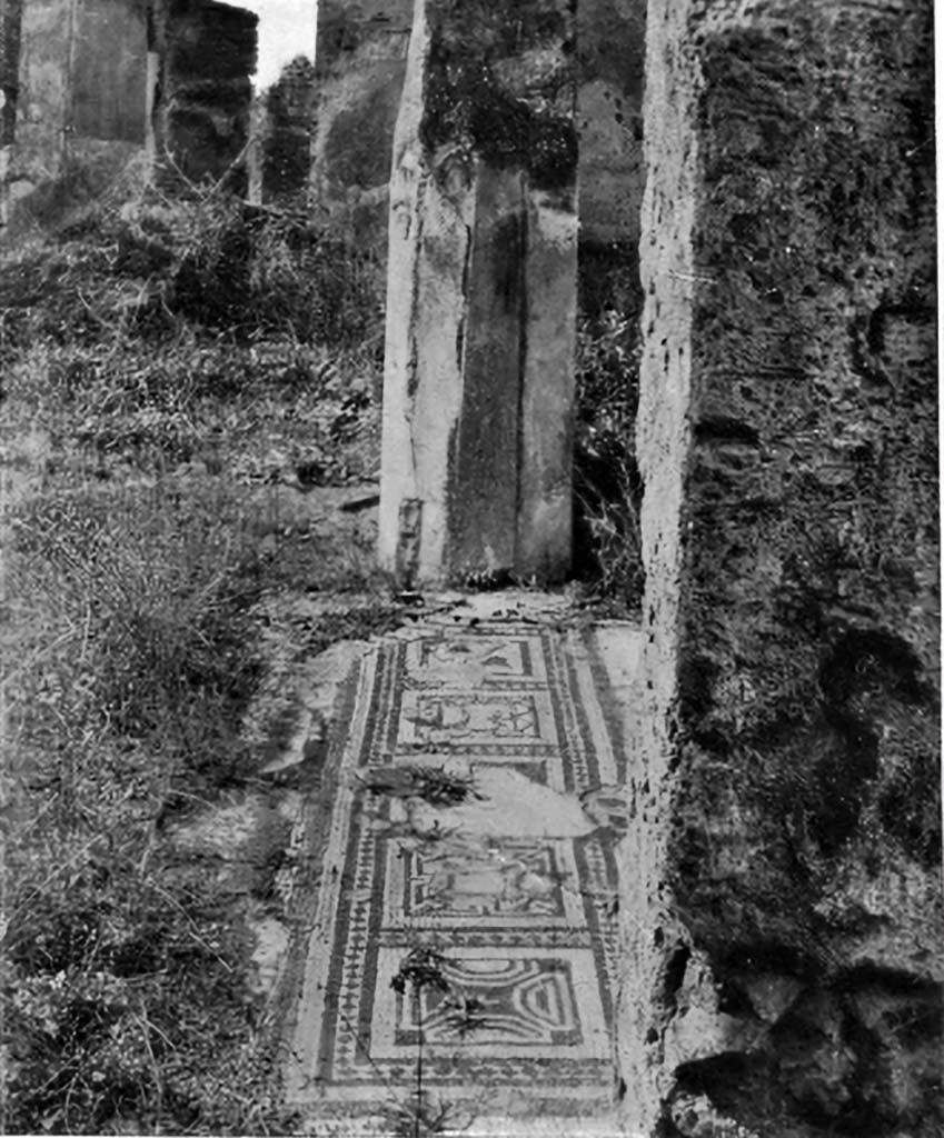 VI.1.10 Pompeii. c.1930. Looking west across threshold of north ala.
See Blake, M., (1930). The pavements of the Roman Buildings of the Republic and Early Empire. Rome, MAAR, 8, (p.107,120, & Pl. 28, tav.3).

