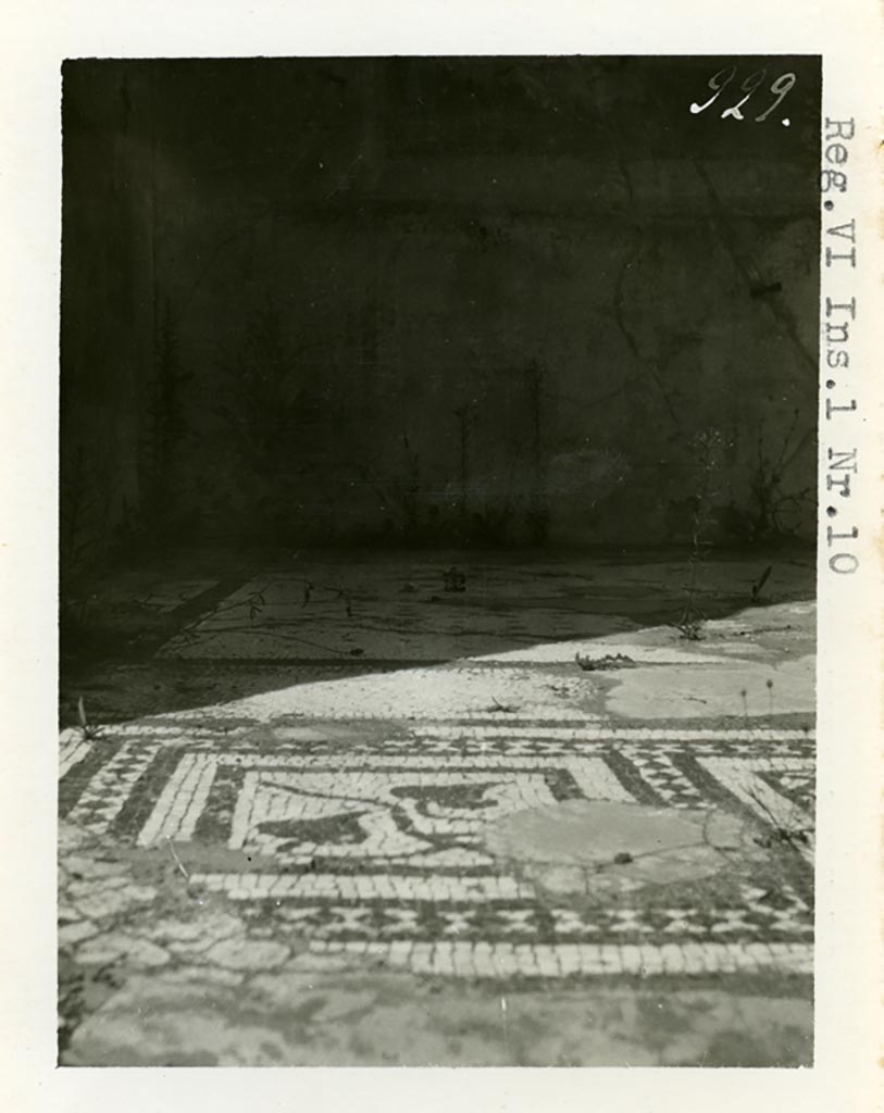 VI.1.10 Pompeii. Pre-1937-39. Room 4, looking north towards detail from mosaic floor in ala on north side of atrium.  
Photo courtesy of American Academy in Rome, Photographic Archive. Warsher collection no. 929.
