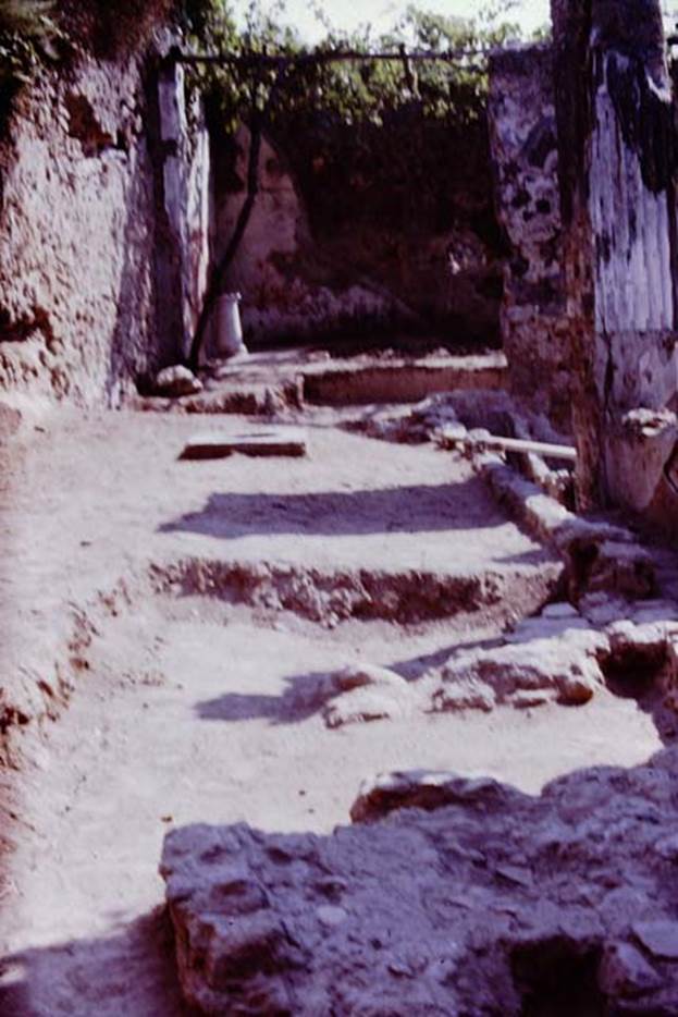 VI.2.4 Pompeii. 1970. Looking east towards triclinium and north-east corner, from north garden area.  Photo by Stanley A. Jashemski.
Source: The Wilhelmina and Stanley A. Jashemski archive in the University of Maryland Library, Special Collections (See collection page) and made available under the Creative Commons Attribution-Non Commercial License v.4. See Licence and use details.
J70f0597
See Laidlaw, A and Stella, M.S (2014): The House of Sallust in Pompeii , Portsmouth, Rhode Island, (p. 198, S.20, p.191, S.22 and S.23a) 
