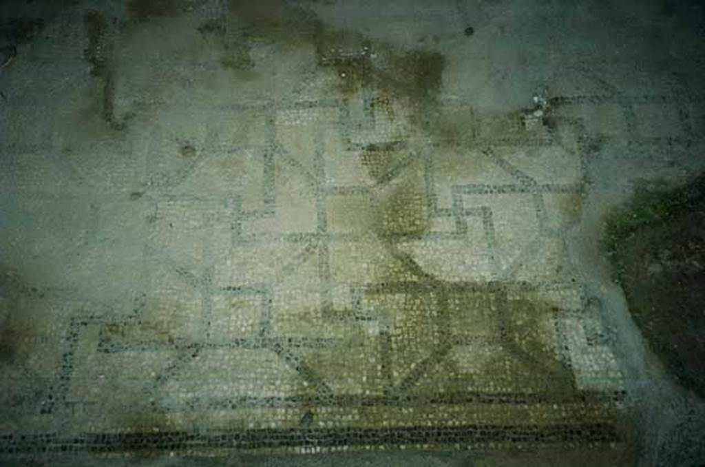 VI.2.4 Pompeii. June 2010. Floor mosaic in cubiculum. Photo courtesy of Rick Bauer.