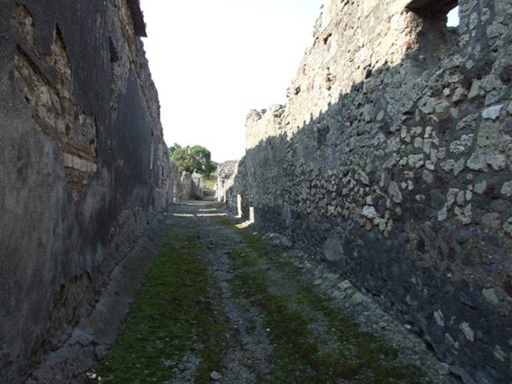Pompeii.  March 2009.  Vicolo della Fullonica.  Looking north, along side wall of VI.7.6.