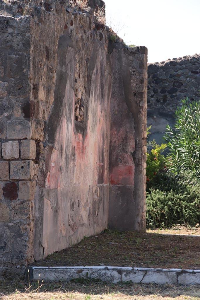 VI.7.20 Pompeii. October 2022. South wall of tablinum. Photo courtesy of Klaus Heese. 

