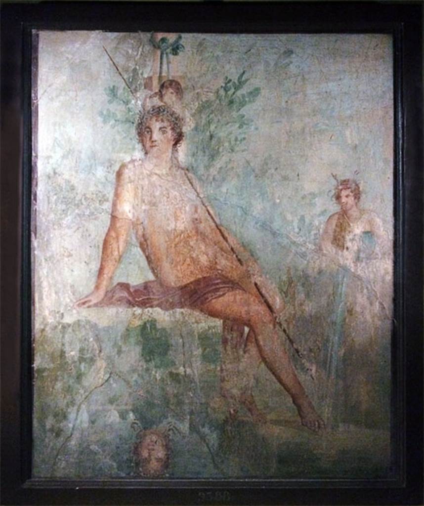 VI.7.20 Pompeii. North wall of tablinum. Painting of Narcissus.
Now in Naples Archaeological Museum. Inventory number 9388.
