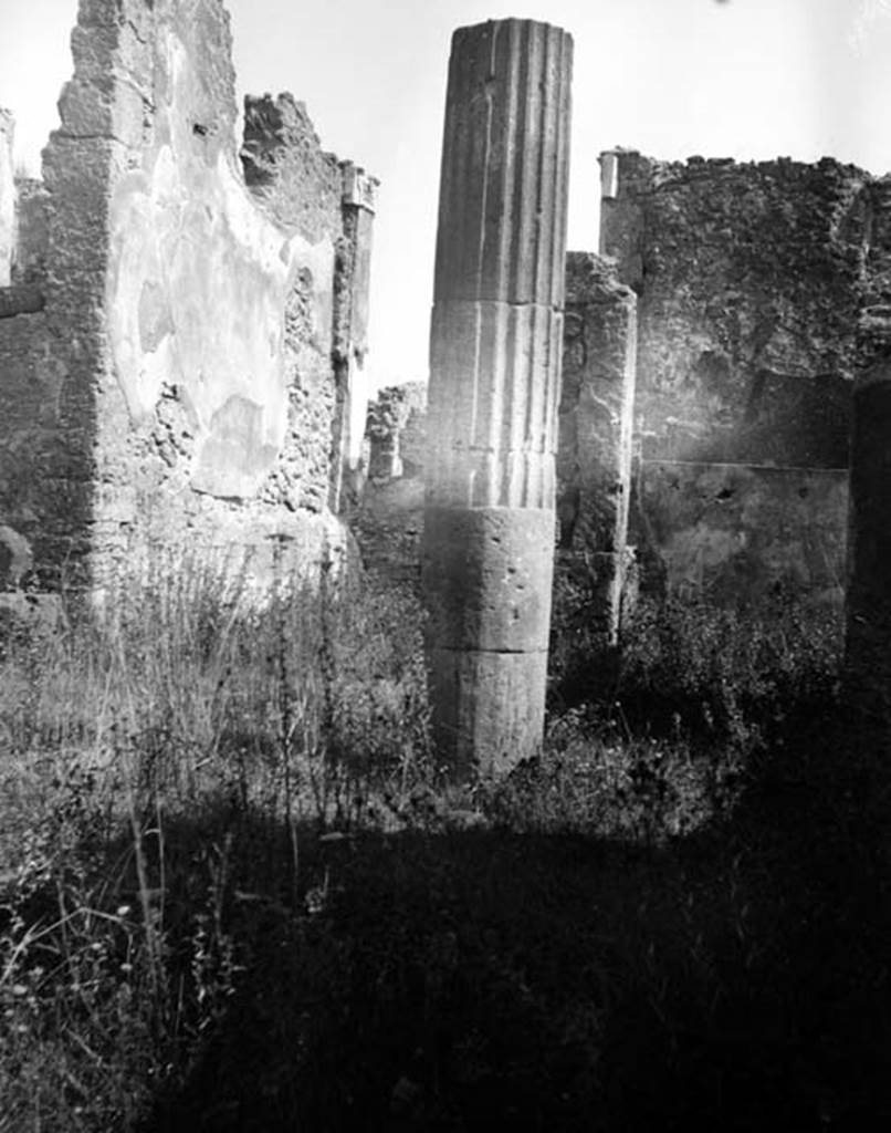 230782 Bestand-D-DAI-ROM-W.1263.jpg
VI.7.25 Pompeii. W.1263. Looking east across atrium to entrance doorway from Via Mercurio.
Photo by Tatiana Warscher. With kind permission of DAI Rome, whose copyright it remains. 
See http://arachne.uni-koeln.de/item/marbilderbestand/230782 

