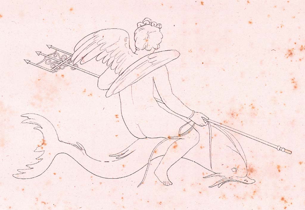 VI.8.5 Pompeii. c.1828. Drawing by Zahn of winged figure holding a trident and riding a dolphin from west wall of atrium.
See Zahn W. Neu entdeckte Wandgemälde in Pompeji gezeichnet von W. Zahn [ca. 1828], taf. 8.
See Morelli painting from east and west walls of atrium in previous part.

