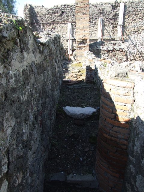 VI.8.20 Pompeii. March 2009.  West wall to rear of Vat 3.