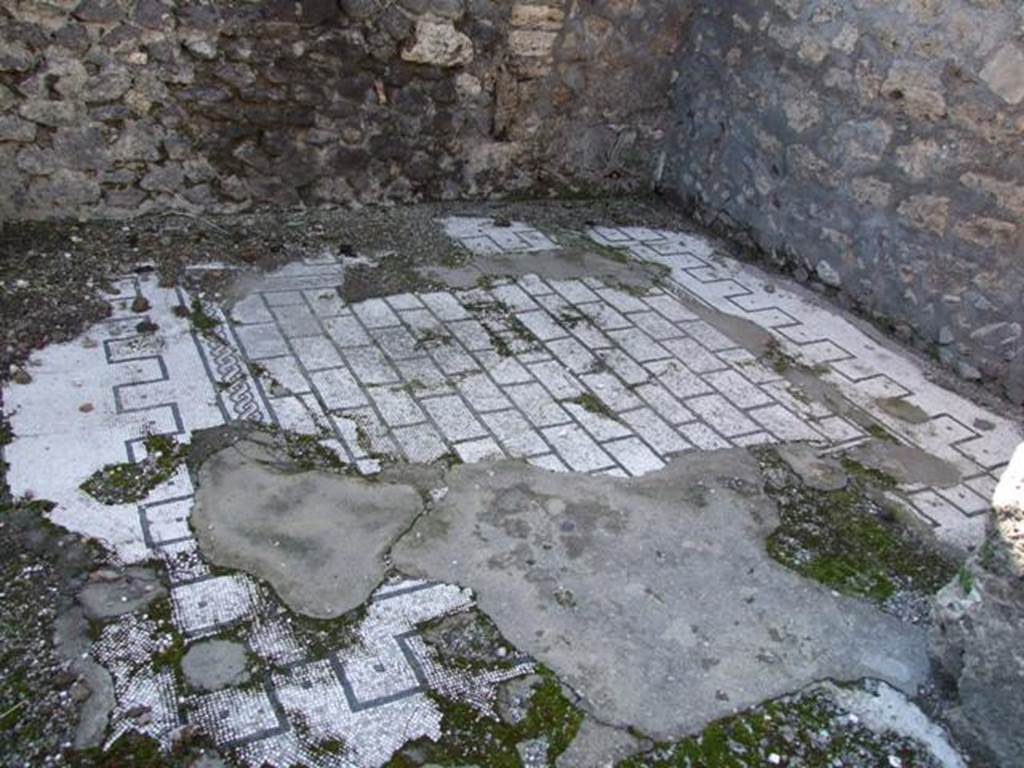 VI.8.21. Pompeii.  March 2009.  Tablinum mosaic floor.