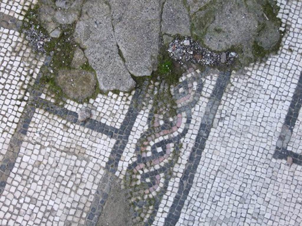 VI.8.21 Pompeii. March 2009. Detail from mosaic floor in tablinum.