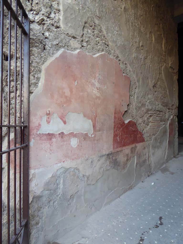 VI.8.23 Pompeii. January 2017. Detail of painted decoration on south wall of entrance corridor. 
Foto Annette Haug, ERC Grant 681269 DÉCOR.
