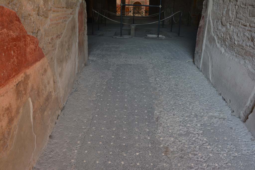 VI.8.23 Pompeii. September 2019. Looking west along flooring in entrance corridor.
Foto Annette Haug, ERC Grant 681269 DÉCOR.
