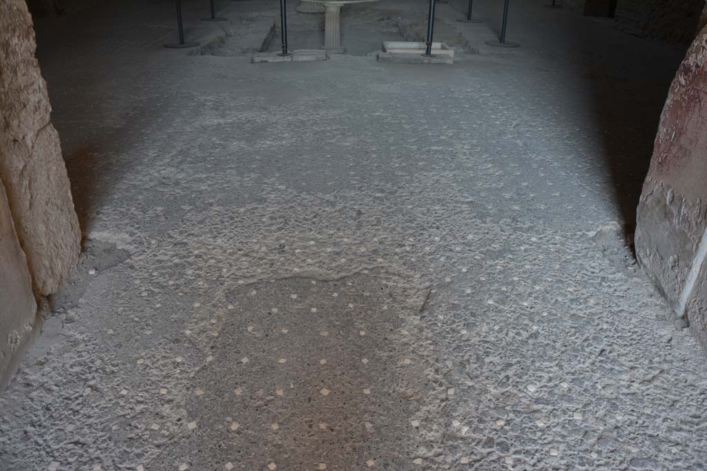 VI.8.23 Pompeii. September 2019. Looking west along flooring in entrance corridor, towards flooring in atrium.
Foto Annette Haug, ERC Grant 681269 DÉCOR.
