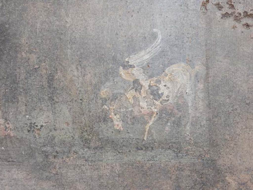 VI.8.23 Pompeii. May 2017. Detail from north wall on west side of doorway to room.
Photo courtesy of Buzz Ferebee.

