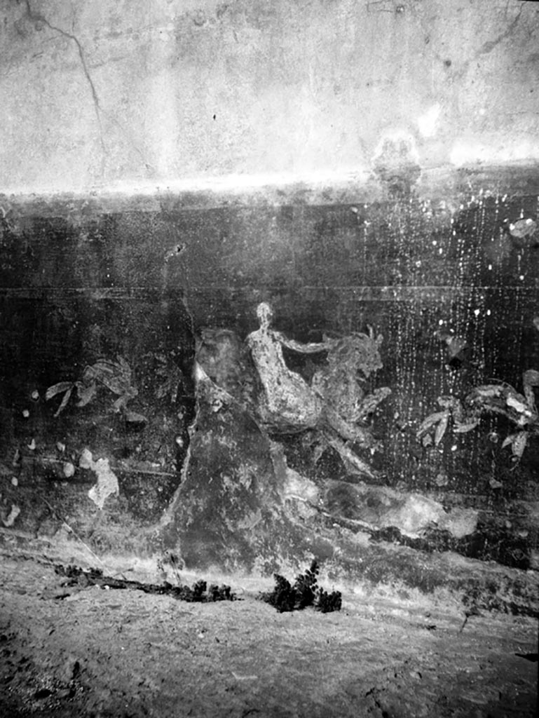 VI.9.2 Pompeii. W.563. Peristyle 16, west wall with painted figure on sea creature, on dado.
Photo by Tatiana Warscher. Photo © Deutsches Archäologisches Institut, Abteilung Rom, Arkiv. 
