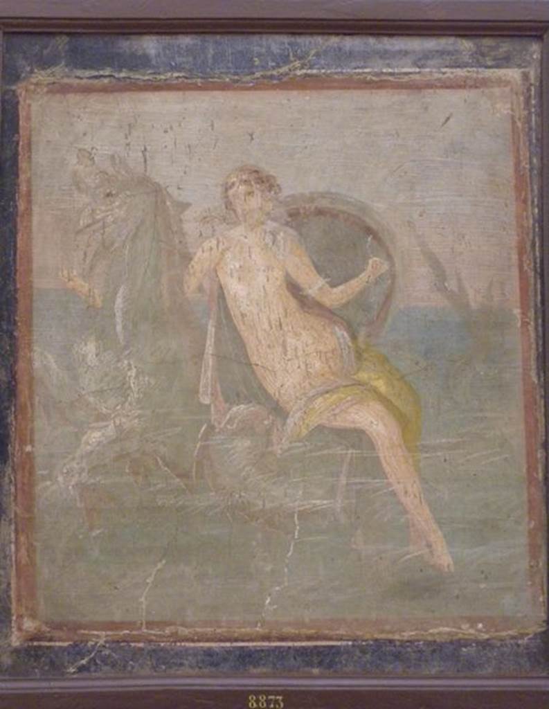 VI.9.2 Pompeii. Found 19th January 1830. Peristyle 16, west wall. Wall painting of Thetis on a sea griffin bearing the arms of Hephaestus to Achilles. Now in Naples Archaeological Museum. Inventory number 8873. See Helbig, W., 1868. Wandgemälde der vom Vesuv verschütteten Städte Campaniens. Leipzig: Breitkopf und Härtel. (1320).