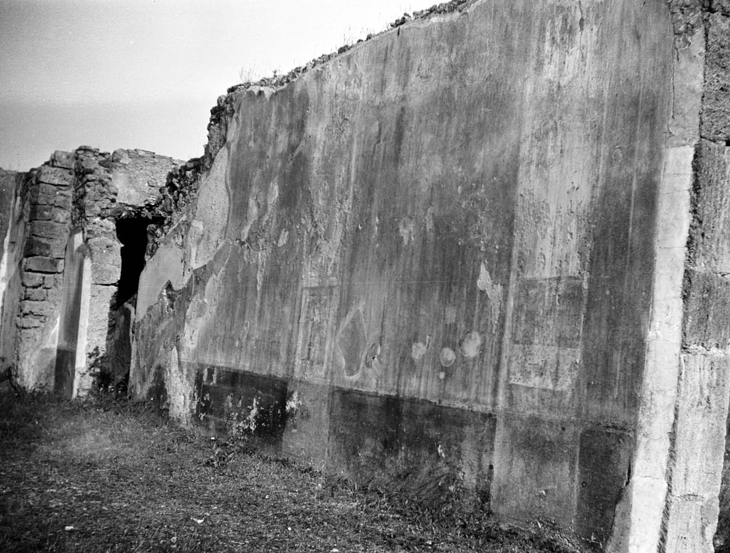 VI.9.2 Pompeii. W.573. Peristyle 16, east end of south wall.
Photo by Tatiana Warscher. Photo © Deutsches Archäologisches Institut, Abteilung Rom, Arkiv. 
